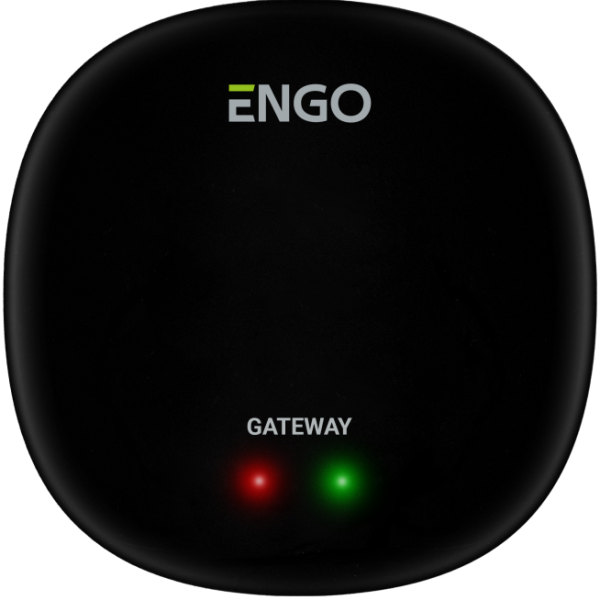 Универсальный интернет шлюз ZigBee для ENGO Smart