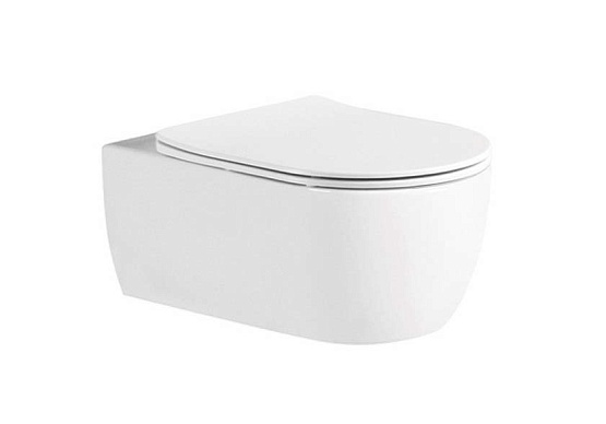 Унитаз ЕВРОПА AQ1106L-00 подвесной безободковый 525*360*250мм (сиденье - микролифт, крепеж) AQUATEK