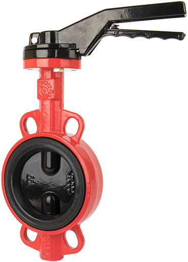 Затвор поворотный дисковый D125 PN16 чугун Rushwork